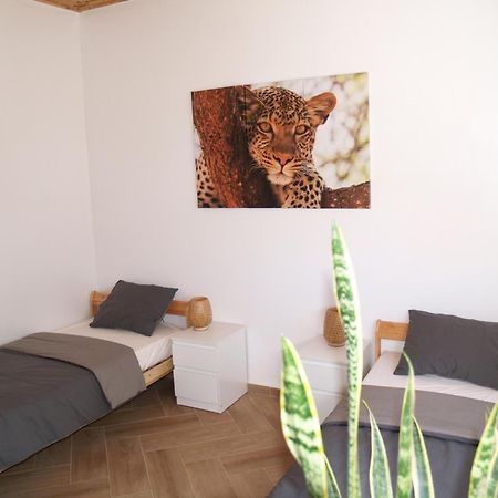 Dar Makai Surf Hotel Tamraght 외부 사진