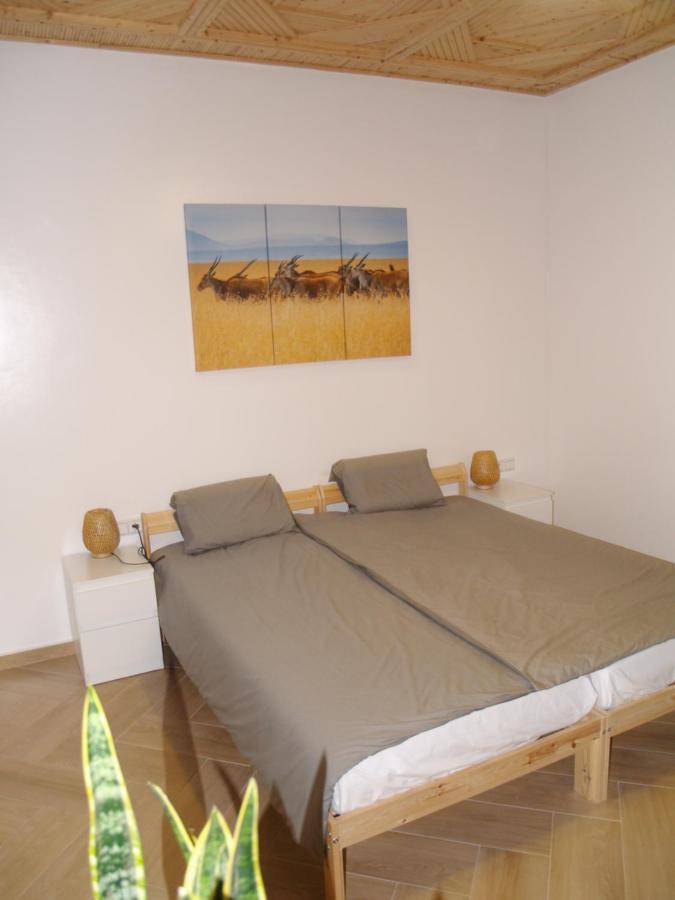 Dar Makai Surf Hotel Tamraght 외부 사진